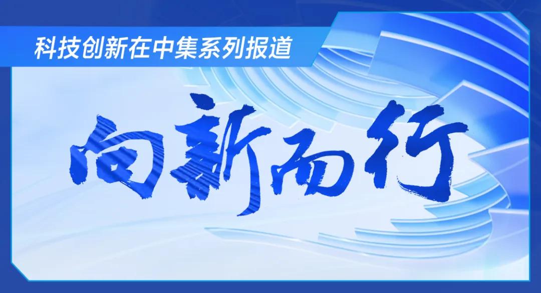 世界标准日，看中集如何强化标准引领